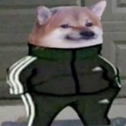 VuckPladimirFutin's Stream profile image