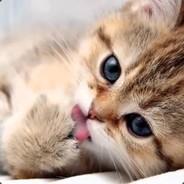bayerbayer521's Stream profile image