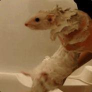 Gideon the Ninth's - Steam avatar