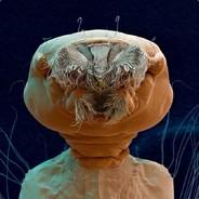 Lamer's - Steam avatar