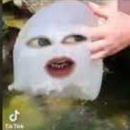 金剛's Stream profile image