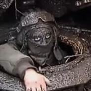 shellyn's Stream profile image