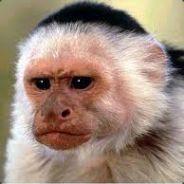 Trankqwuillio's Stream profile image
