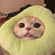 apelsin's Stream profile image