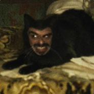 Vladislav the Poker's Stream profile image