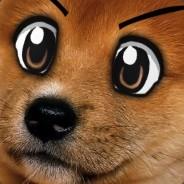 LauryBionda's Stream profile image