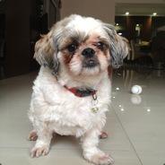 Kellismatic's Stream profile image