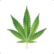 Timo's Stream profile image