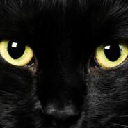 Desolation's Stream profile image
