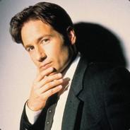 Spearthrower Owl's Stream profile image