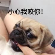 FD2102's Stream profile image