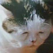 fuanho's - Steam avatar