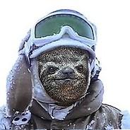 Sloth's Stream profile image