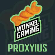 Pr0xyius's Stream profile image