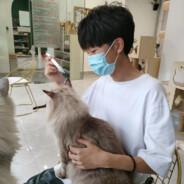 刘高君's Stream profile image