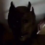ĪłĐīⱥꝟꝋłꝋ's Stream profile image