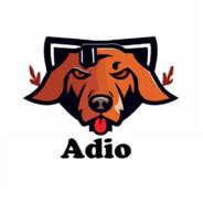 adio's Stream profile image