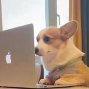 Kain's Stream profile image