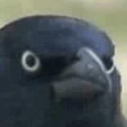 Alterivo's Stream profile image