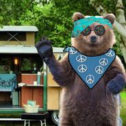 Hippie Bear's Stream profile image