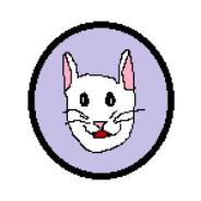 SavInTims's - Steam avatar