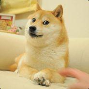 MudFollows's Stream profile image