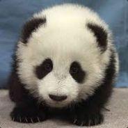 snoob1018's Stream profile image