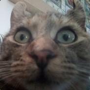 DrunkShadows's Stream profile image