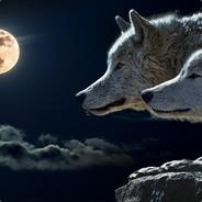 HelsingVI's Stream profile image