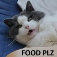 Friedenspanz3r's Stream profile image
