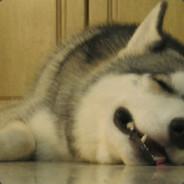 亚雷's Stream profile image