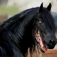 Zakiah's Stream profile image