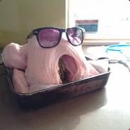 ColdTurkey117's Stream profile image