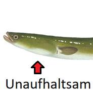 UnaufhaltsamerAal's - Steam avatar