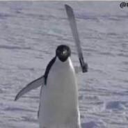 deibat's Stream profile image