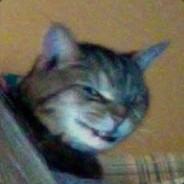 tofa23's Stream profile image
