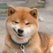 殘酷的諷刺's Stream profile image