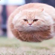 浪漫是便宜的奢侈品's Stream profile image