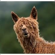 24Kxiaoli's - Steam avatar