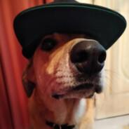 FLORCHULI's Stream profile image