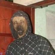 vand.vaca's Stream profile image