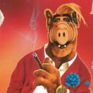 NOC | Alf Shumway's Stream profile image