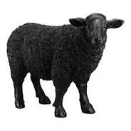 BlackSheep's Stream profile image