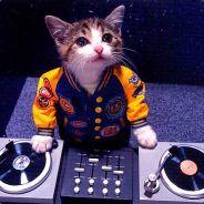 Surgeon192's Stream profile image