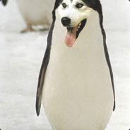 Joemamafrank's - Steam avatar