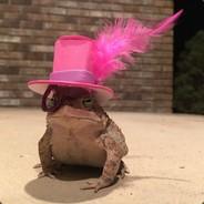 Gwadien's Stream profile image