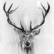 DeerGod's Stream profile image