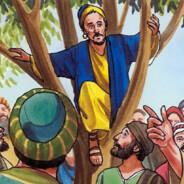 Zacchaeus's - Steam avatar