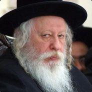 Mitchachos's Stream profile image
