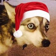chizback's Stream profile image